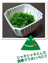 ペロリンの山形旬情報 おかひじき おいしい山形ホームページ